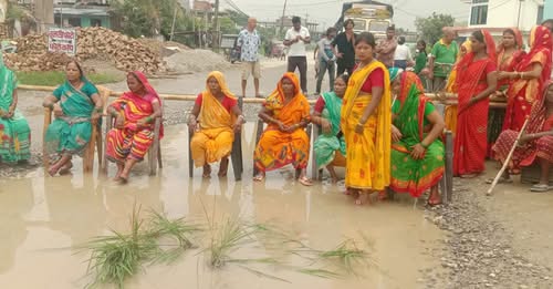 मोरङको कटहरीका स्थानीयले रोपे हुलाकी सडकमा धान 