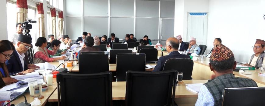सहसचिवमा खुला प्रतिस्पर्धाबाट १० प्रतिशत पदपूर्ति गर्ने सहमति