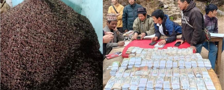 ४ बर्ष देखि १ सय मन बढी अलैँची उपादन गर्थे गोगने गाउँका किसान 